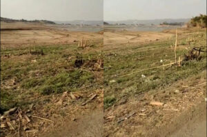 Waduk Jatigede di Sumedang yang Habiskan Anggaran Rp6,5 Triliun, Kini Kering Total Akibat Kemarau Panjang