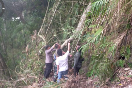 Empat Warga Tewas dan Satu Lainnya Luka Berat Saat Berburu Burung di Hutan Singajaya Garut, Ini Kronoligisnya