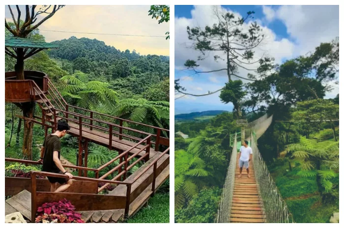 Objek Wisata Bukit Halimun Bogor