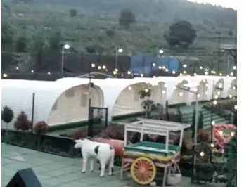 Wisata Ipukan Higland