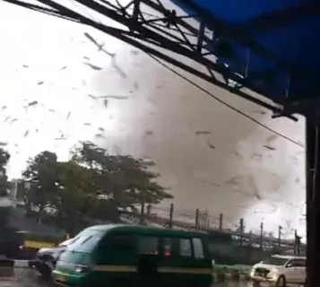 Bacaan Doa Angin Tornado, Bahasa Arab, Latin, dan Terjemahan Indonesia