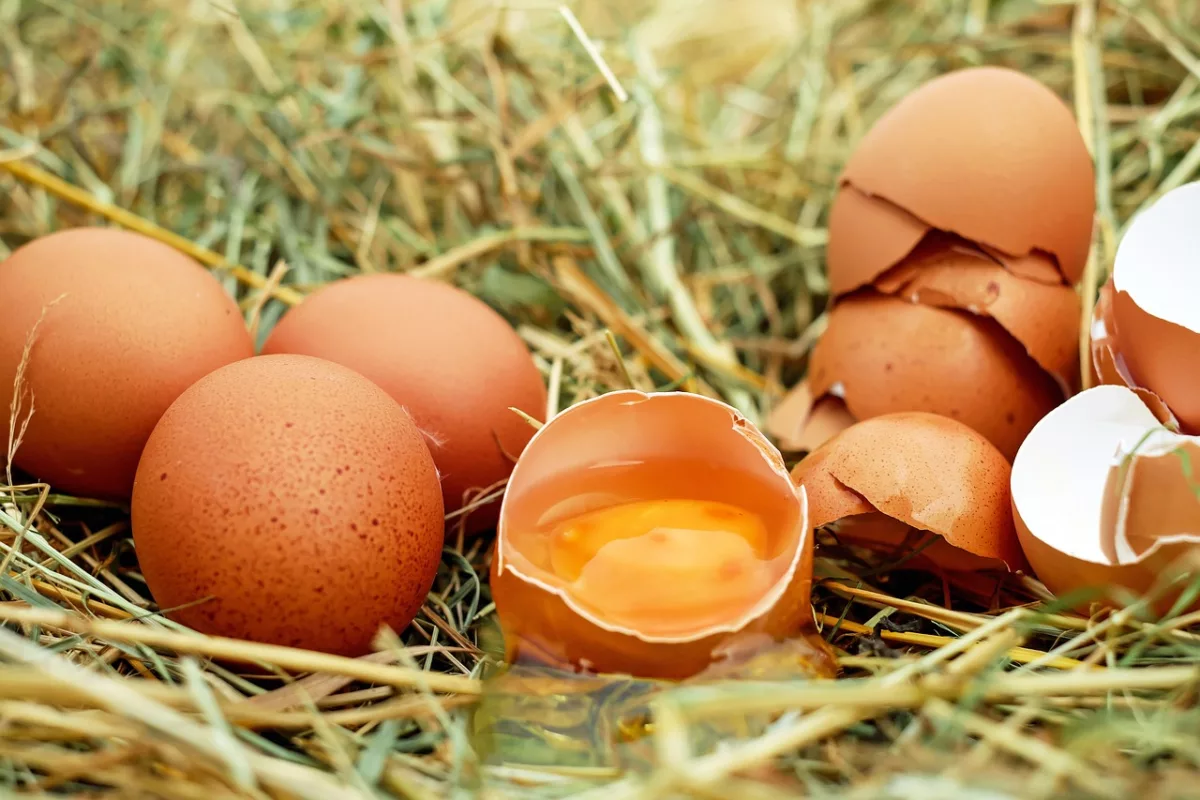 Rahasia Diet Telur saat Puasa, Berat Badan Turun Drastis, Lebaran Auto Pangling!