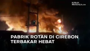 Arus pendek listrik Akibatkan Pabrik Rotan Terbakar, Rugi Miliaran! Pabrik Rotan