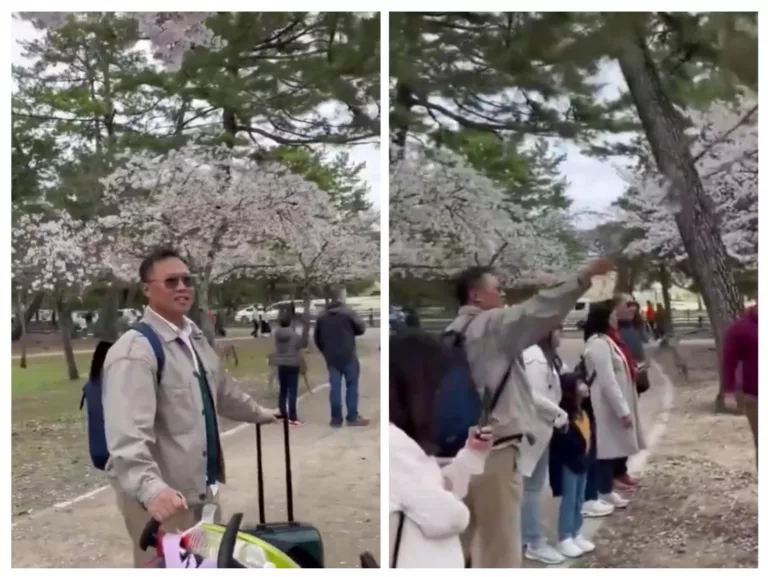 Tidak Habis Pikir! Turis Indonesia Diduga Rusak Pohon Sakura di Jepang, Netizen Geram