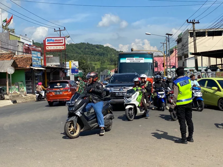 pemudik padat