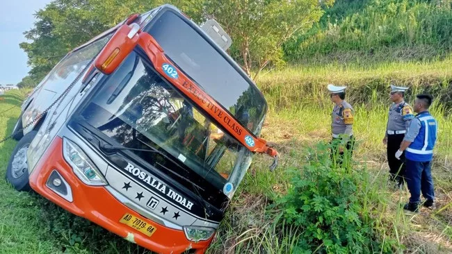 Bus Rosalia Indah