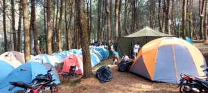 sinergitas pemda dan kuningan