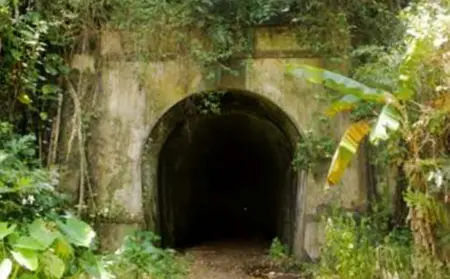Terowongan Kereta Api Wilhelmina Berisi Hantu? Inilah Fakta Menarik di Baliknya Terowongan Kereta Api Wilhelmina