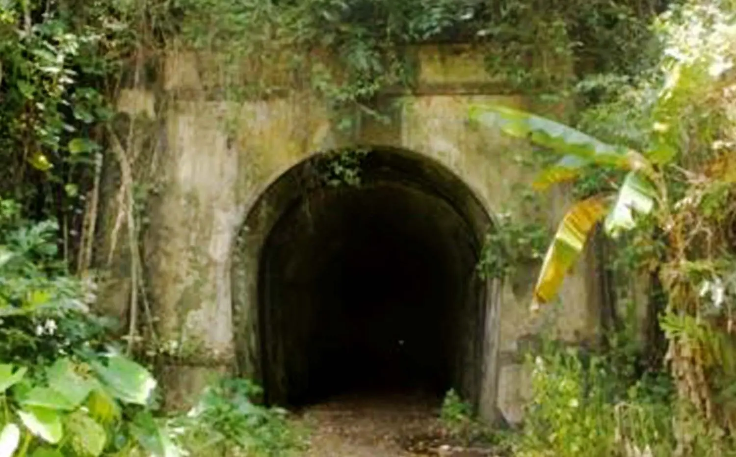 Terowongan Kereta Api Wilhelmina