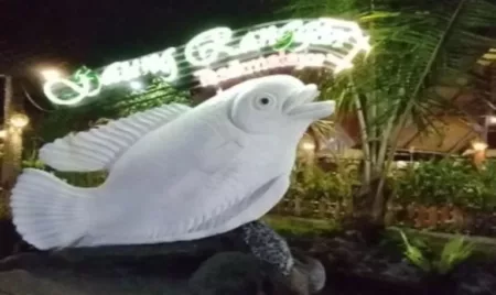 Inilah Tempat Wisata Kuliner Favorit di Tasikmalaya, Jangan Lewatkan Jika ke Kota Santri angan Lewatkan Jika ke Kota Santri