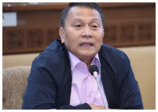 Revisi PKPU 2024 Disetujui: Mardani Optimis Demokrasi Indonesia Makin Sehat