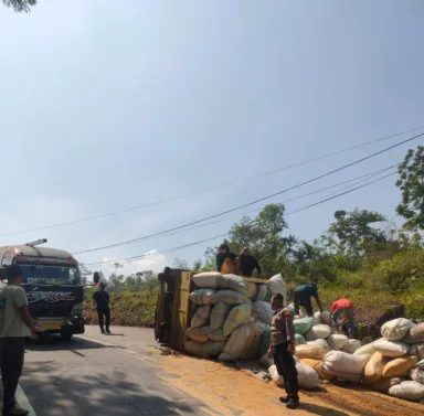 Mobil Truck Terguling di Garut, Kerugian Capai Rp 30 Juta Truck pengangkut sekam terguling di Pakenjeng Bungbulang Garut