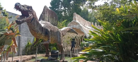 Garut Punya Wisata Edukasi Bisa Dikunjungi Kapan Saja Dinoland Garut
