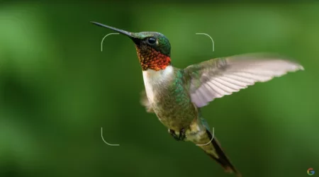 Kini Google Lens Bisa Melakukan Pencarian Melalui Video dan Suara Ilustrasi Google Lens pencarian melalui video dan suara (Tangkap layar Youtube/Google)