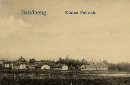 Eksis Pada Masa Penjajahan! Ini Sejarah Pabrik Kina di Bandung pabrik kina bandung