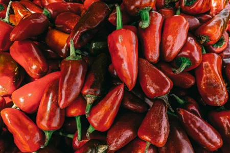 Manfaat Makanan Pedas, Emang ada? Manfaat Makanan Pedas, Emang ada? (pic : pexels.com)