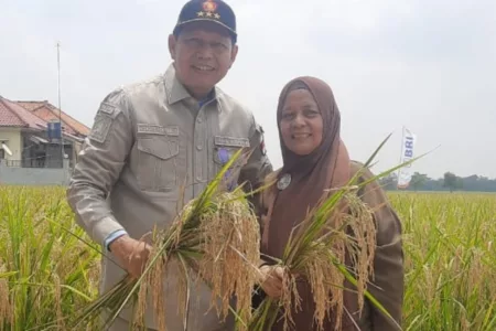 Daddy Rohanady: Petani Harus Merdeka dan Sejahtera Petani di Jawa Barat harus merdeka dan sejahtera. Untuk mewujudkannya, diperlukan pendekatan yang serius dan sistematis