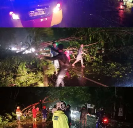 Pohon Tumbang di Depan Exit Tol Rajamandala Sebabkan Kemacetan di Kabupaten Bandung Bara Pohon Tumbang di exit tol Rajamandala KBB