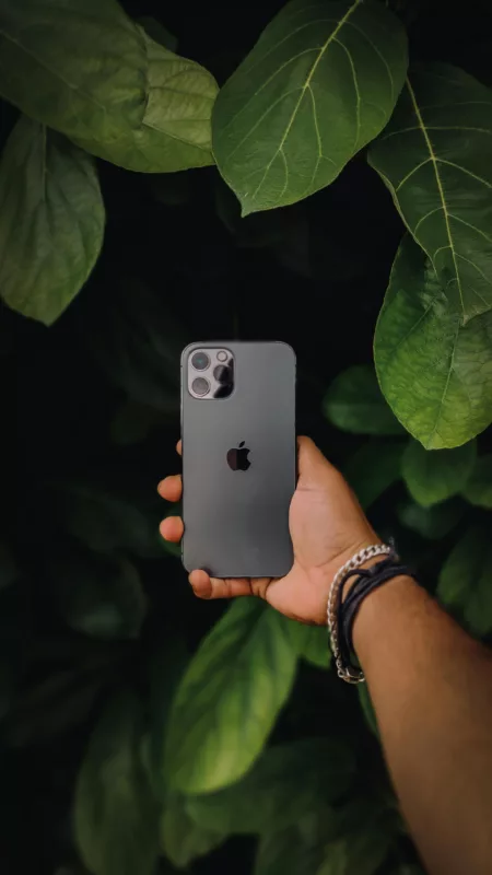 iPhone 16 Dilarang di Indonesia: Apa Alasannya? iPhone 16 dilarang di Indonesia