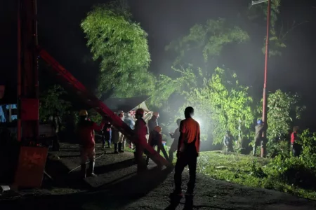 PLN Pulihkan 100% Kelistrikan di Cianjur Pasca Bencana Tanah Longsor dan Banjir PT PLN (Persero) berhasil memulihkan 100% sistem kelistrikan di wilayah Cianjur yang terdampak bencana tanah longsor dan banjir.
