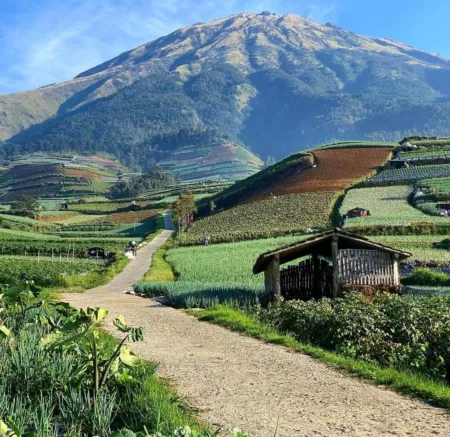 Bingung Liburan Mau Kemana? Berikut 5 Tempat Healing Untuk Liburan di Bandung! 5 Tempat Healing Untuk Liburan di Bandung!
