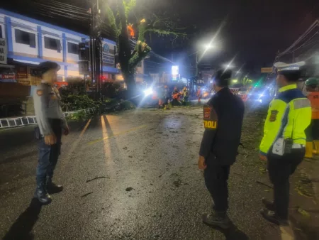 Pemangkasan Pohon di Pinggir Jalan Nasional, Polisi Dikerahkan Bantu BPBD Kota Tasikmalaya Pemangkasan Pohon di Pinggir Jalan Nasional, Polisi Dikerahkan Bantu BPBD Kota Tasikmalaya.