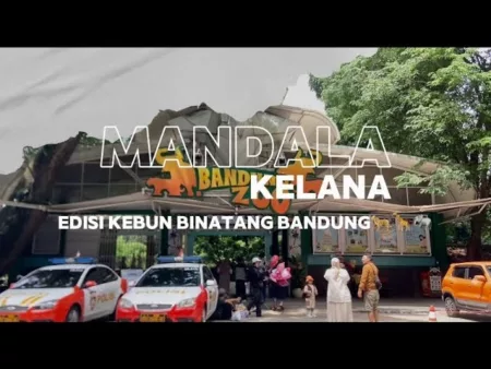 Mandala Kelana: Kebun Binatang Bandung Bisa Jadi Rekomendasi Wisata Edukasi di Libur Akhir Tahun Kebun Binatang Bandung