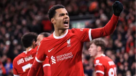 PSV vs Liverpool: Peran Kunci Cody Gakpo Di Liga Champions Cody Gakpo