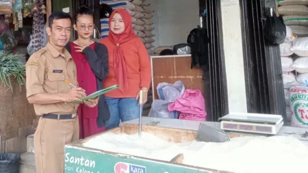 Harga Kebutuhan Pokok Awal 2025 Stabil, Beras dan Cabai Naik Harga Kebutuhan Pokok Awal 2025 Stabil, Beras dan Cabai Naik