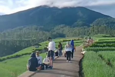 Viral! Kebun Bawang di Bayongbong Jadi Destinasi Wisata Baru di Garut Viral! Kebun Bawang di Bayongbong Jadi Destinasi Wisata Baru di Garut