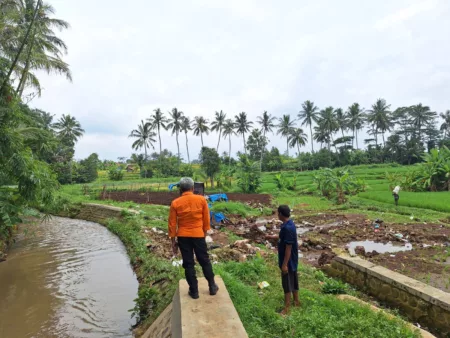 Banjir Bandang Terjang Dua Desa di Kuningan, Belasan Rumah dan Satu Hektar Sawah Terendam Banjir Bandang Terjang Dua Desa di Kuningan, Belasan Rumah dan Satu Hektar Sawah Terendam