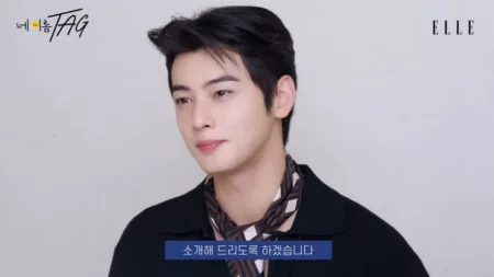 Ternyata ini 5 Item Yang Wajib Masuk Tas Cha Eun Woo, Ada Barang Favorit Kamu Juga? Personal Item Cha Eun Woo. (Ytube/Elle Korea)