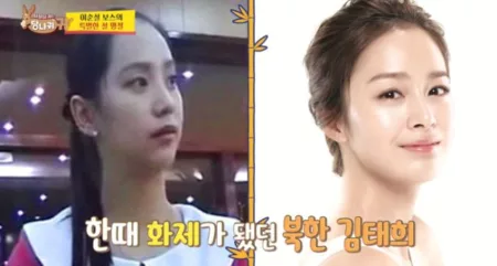 Drama Crash Landing On You Terjadi Di Kehidupan Nyata. Berikut Kronologisnya! Drama Crash Landing On You terjadi di kehidupan nyata. (AllKpop)