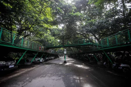 RTH Bandung Terus Bertambah, Farhan Akui Target 30 Persen Masih Berat Hutan Kota Babakan Siliwangi (jabarprov.go.id)