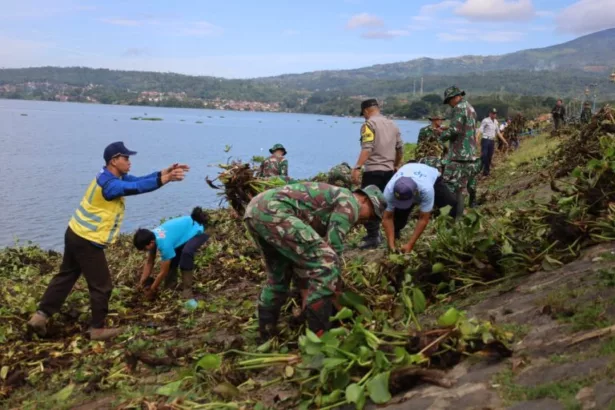 Bupati Kuningan Pimpin Pembersihan Eceng Gondok di Waduk Darma Bupati Kuningan Pimpin Pembersihan Eceng Gondok di Waduk Darma