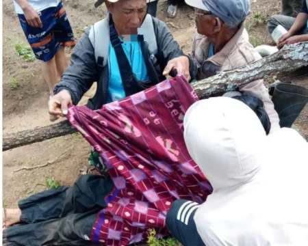Pohon Tumbang di Pamulihan Garut, Satu Tewas dan Dua Terluka Pohon Tumbang di Pamulihan Garut, Satu Tewas dan Dua Terluka
