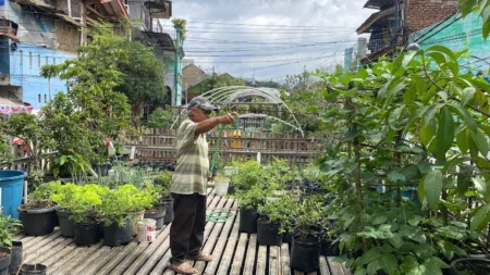 Cipedes Hijau: Warga Bersatu Wujudkan Buruan Sae yang Lestari Salah satu warga pengelola Buruan Sae Pajajaran Hegar