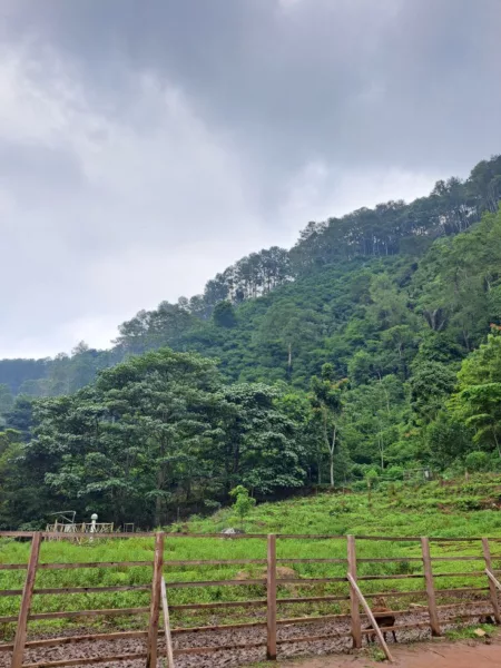 Sejarah Tahura: Penyumbang Oksigen Terbesar Bandung! Tahura Bandung (Pinterest)