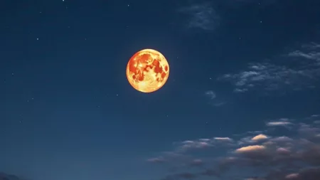 Gerhana Bulan Total 14 Maret 2025: Fenomena Langka, Jangan Sampai Kelewatan! Ilustrasi Gerhana Bulan
