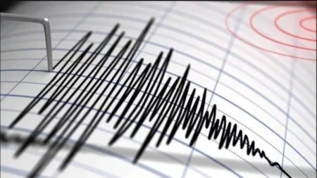 Gempa M4,9 Guncang Pangandaran, Terasa di Garut, Banjar, dan Tasikmalaya Ilustrasi Gempa