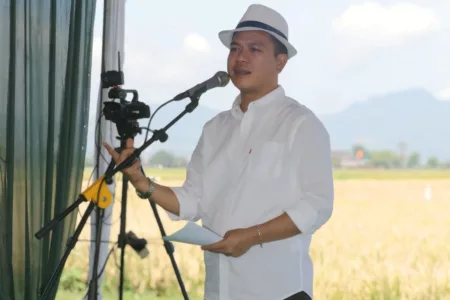 Panen Raya Padi Serentak: Bupati Bandung Gratiskan Pajak Sawah dan BPJS untuk Petani Bupati Bandung, Dadang Supriatna
