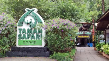 Kasus Dugaan Eksploitasi Karyawan Sirkus Taman Safari Menuai Polemik Baru Taman Safari Bogor (sumber: Instagram)