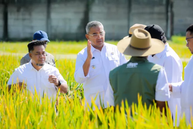 Wali Kota Bandung Gagas Wisata Sawah dan Urban Farming di Sekitar GBLA