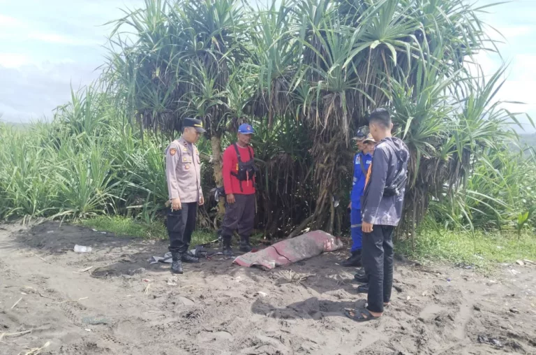 Korban Hanyut Ditemukan Tewas di Pantai Muara Cilaki Garut