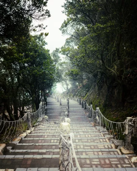 Cuaca Ciwidey Hari Ini: Hujan di Sore Hari, Suhu Sejuk