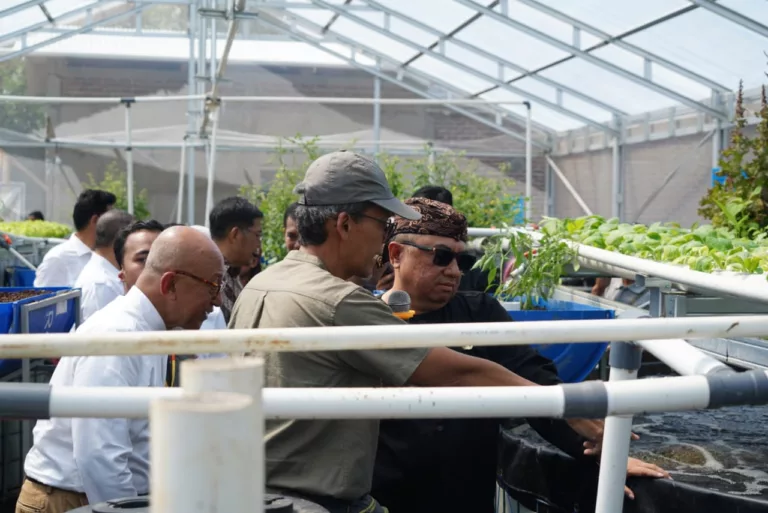 Lokasi Budidaya ikan Nila dan pertanian aquaponik yang ramah lingkungan.