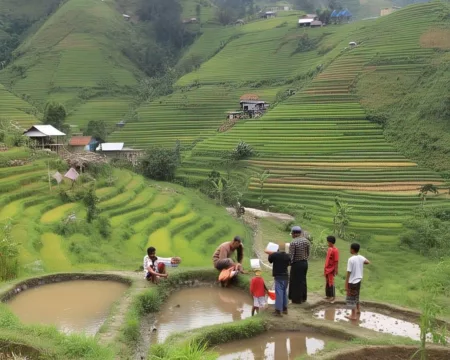Daerah Pedesaan