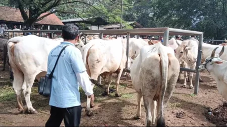 Pasar Ingon-ingon Ciwareng Kabupaten Purwakarta