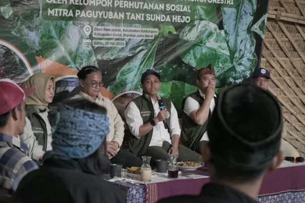 Petani Garut Raih Dukungan Menteri: Kopi Agroforestri Tembus Pasar Global Petani Garut Raih Dukungan Menteri: Kopi Agroforestri Tembus Pasar Global