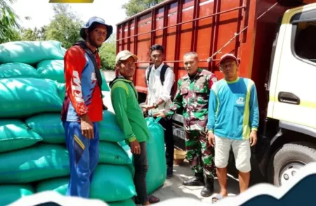 Program SERGAP Dorong Serapan Gabah Petani dan Stabilkan Harga di Majalengka
